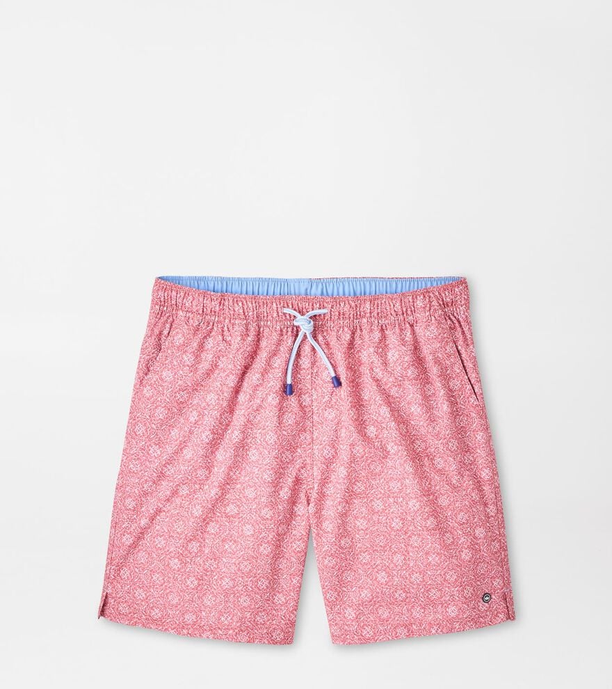 Knox Swim Trunk image number 1