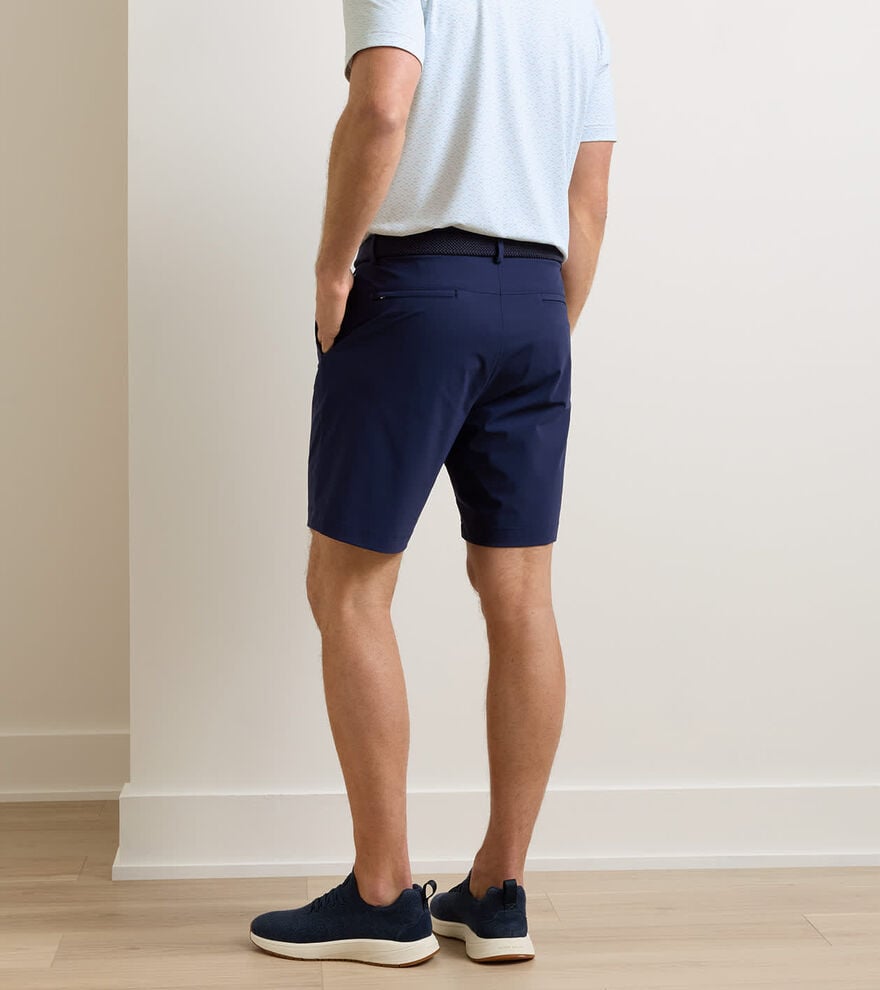 Bingham Performance Short image number 3