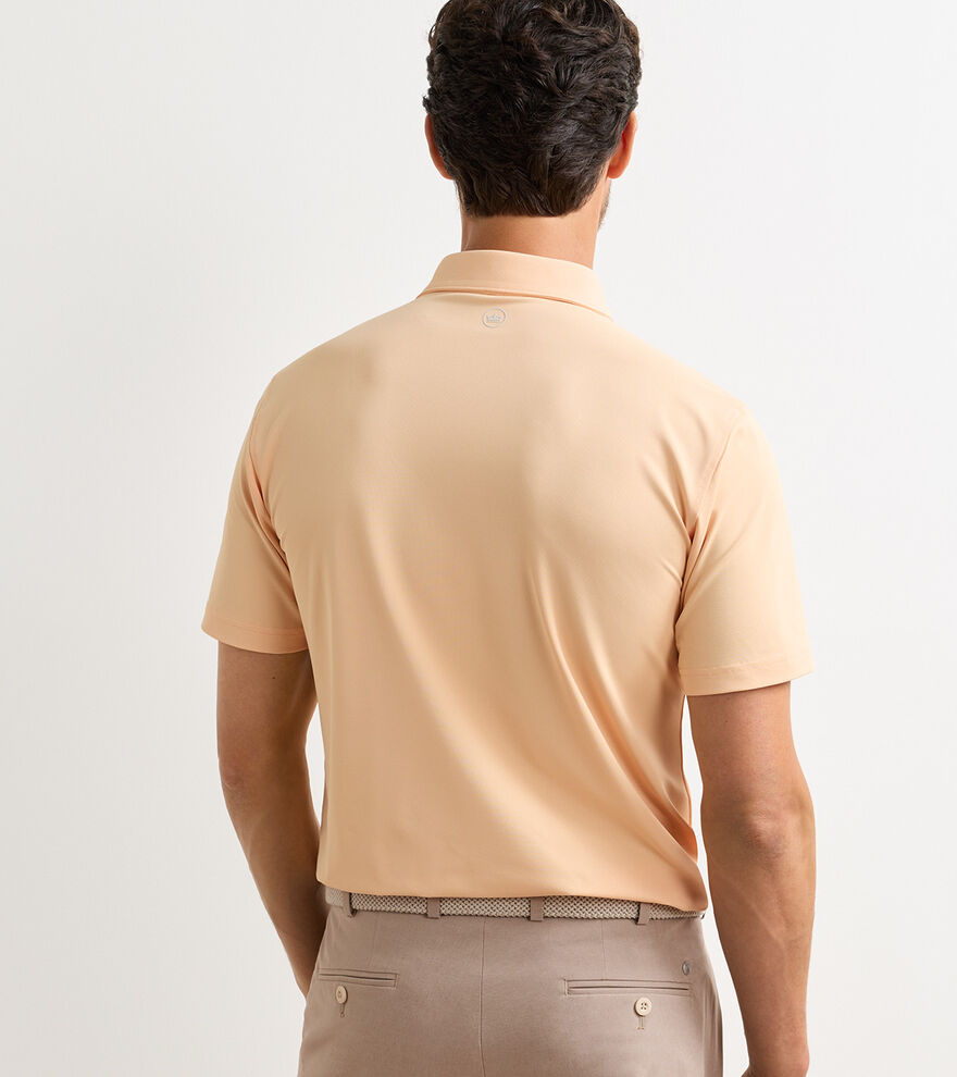 Soul Performance Mesh Polo - Alternate Image 2
