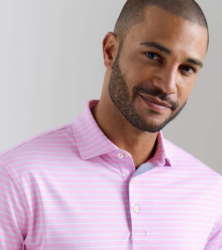 Dunnes Performance Jersey Polo image number 5