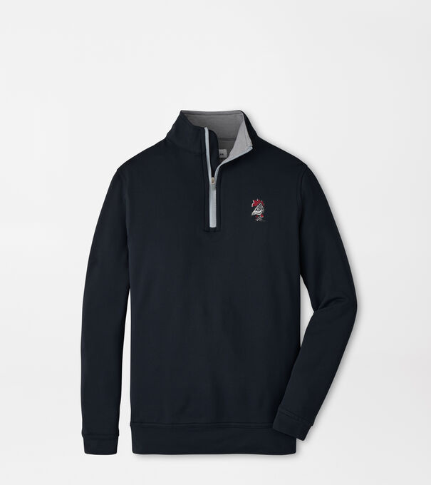 South Carolina Vault Perth Youth Performance Quarter-Zip