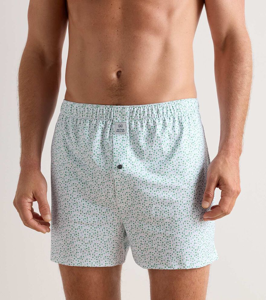 Cheers Performance Boxer Short image number 2