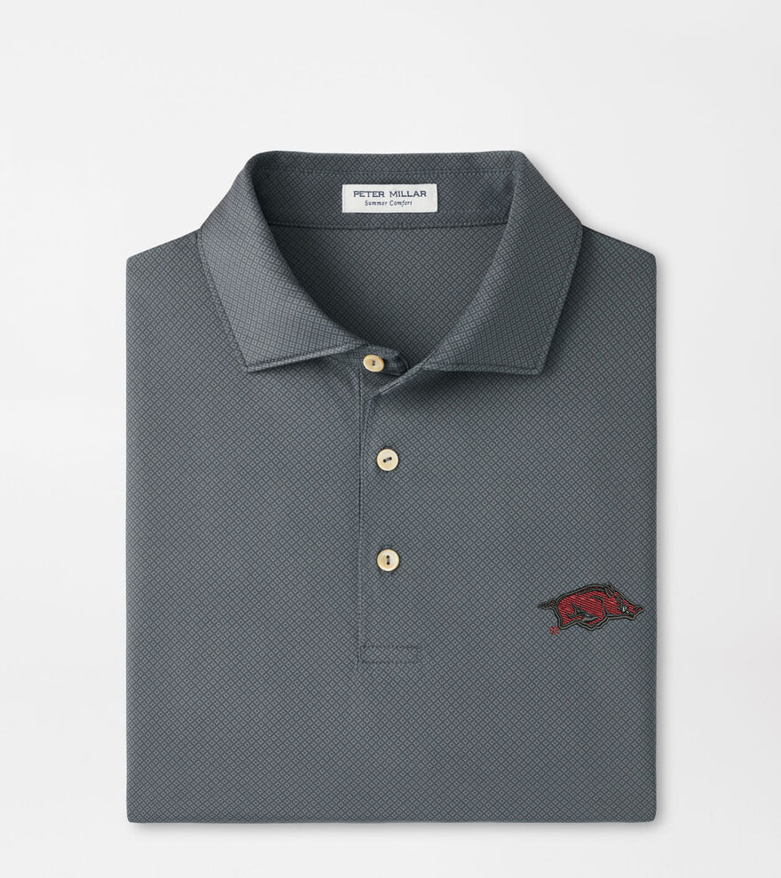 Arkansas Hugo Performance Jersey Polo image number 1