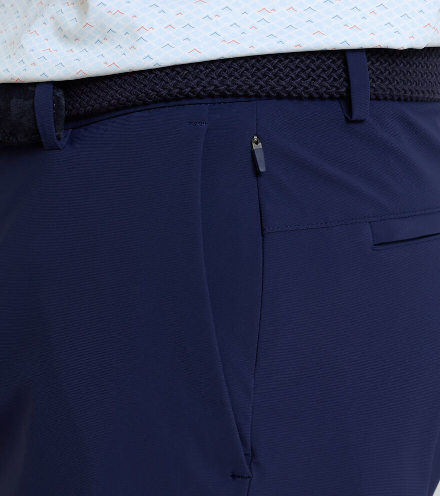 Bingham Performance Short image number 4