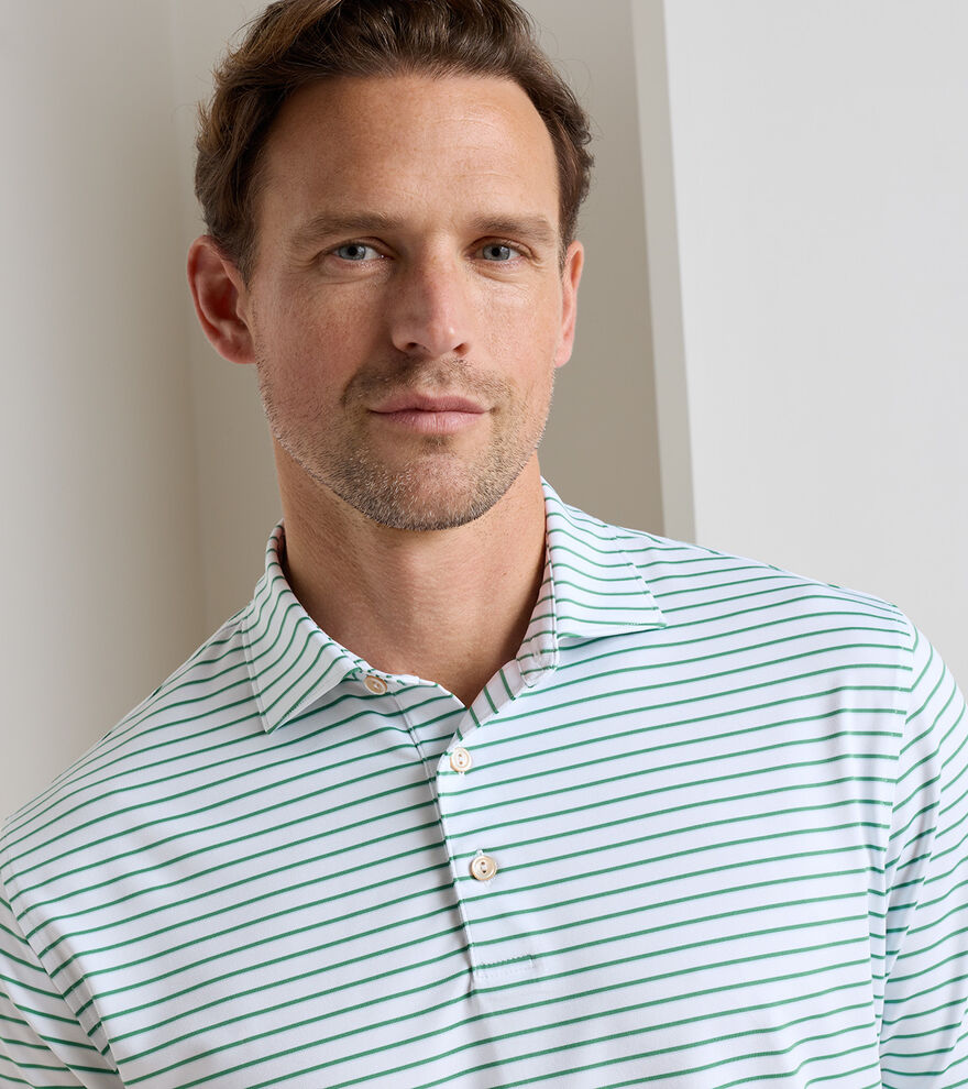 Dunnes Performance Jersey Polo image number 5