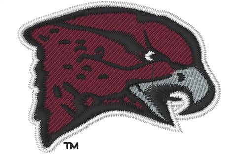 University of Maryland Eastern Shorewomens-collegiate