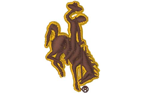 Wyomingwomens-collegiate