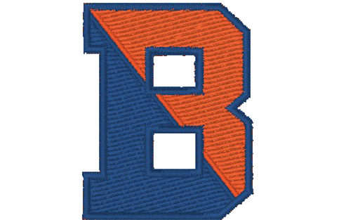 Bucknell Universitycollegiate